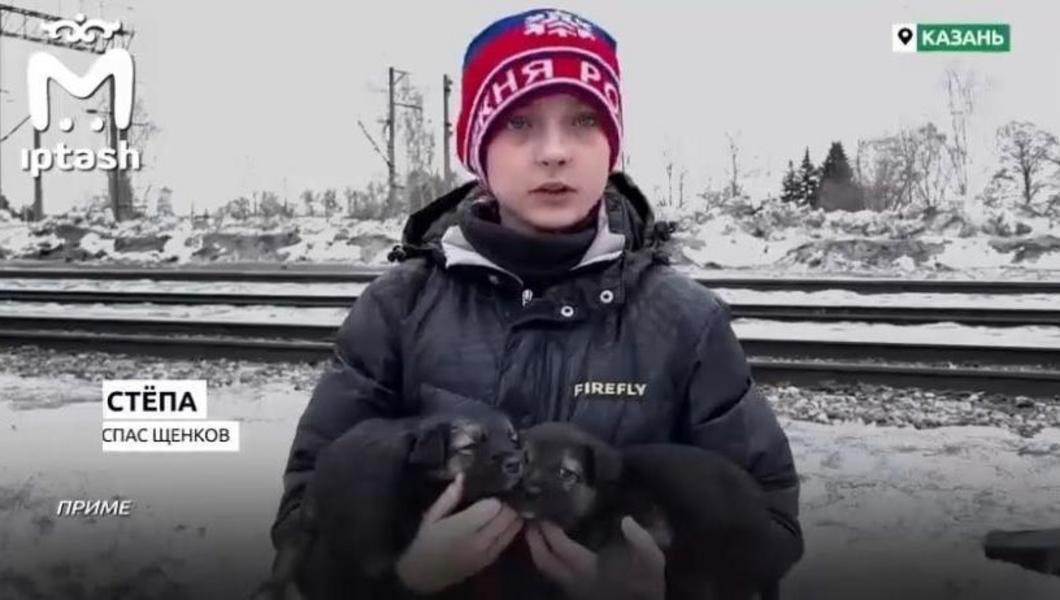 Дети-герои: как юные татарстанцы в течение года спасали жизни людей и животных Дети-герои: как юные татарстанцы в течение года спасали жизни людей и животных