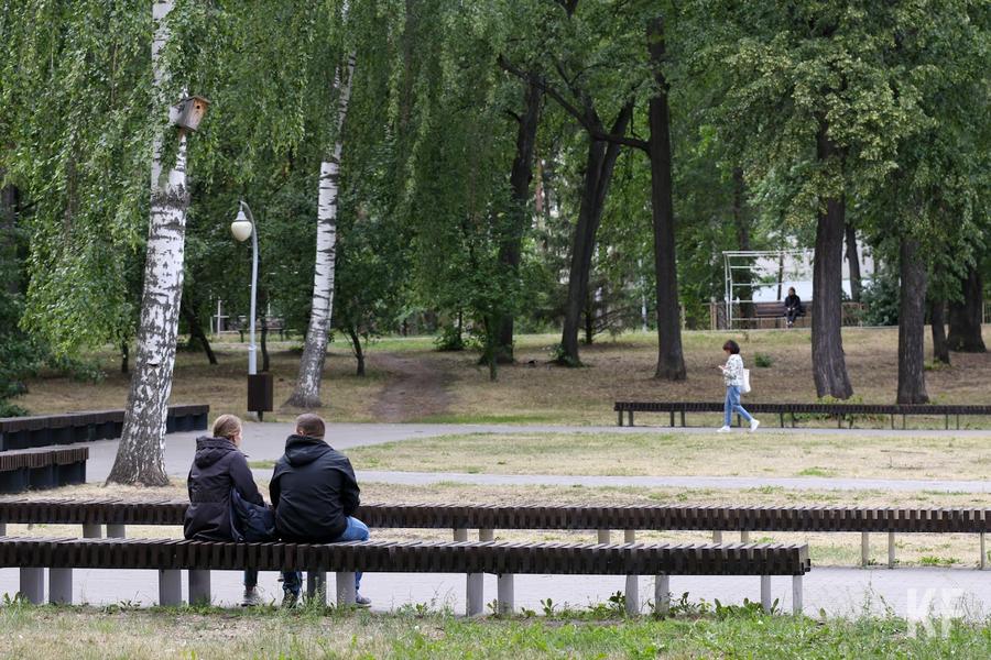 Брошенные деревья Казани: как проблемы зеленой инфраструктуры влияют на городскую среду