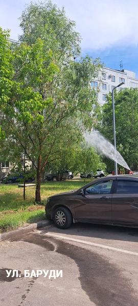 В Казани повторно обработали деревья от гусениц В Казани повторно обработали деревья от гусениц