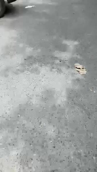 Жители казанского поселка Восточный пожаловались на мужчин, привозящих мусор от других улиц