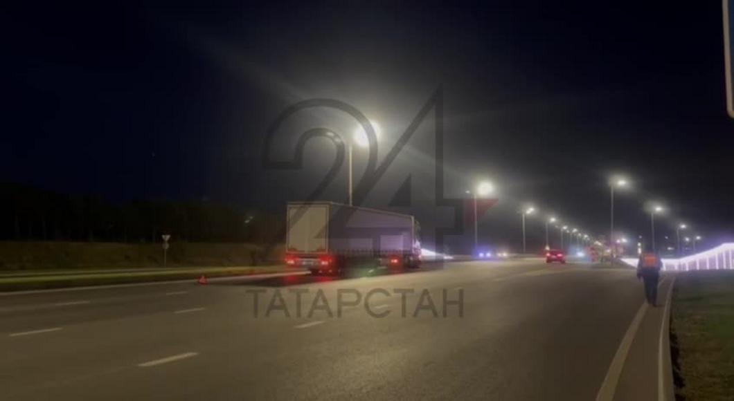 В Казани на Оренбургском тракте кабан попал под колеса грузовика