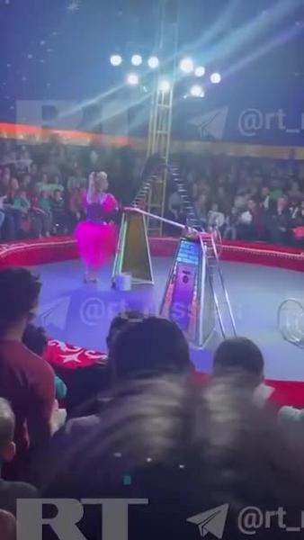 В Ленобласти во время циркового представления обрушились трибуны со зрителями
