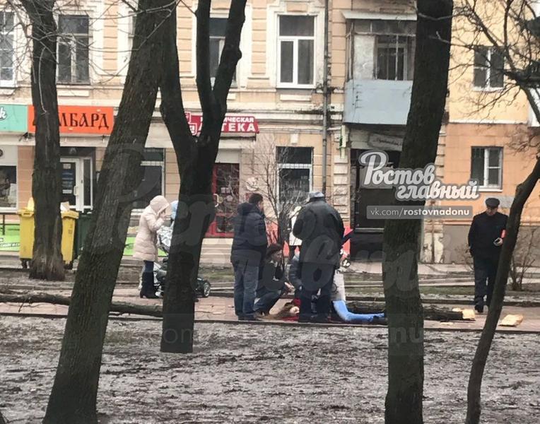 Молодую маму из Ростова убило упавшим от сильного ветра деревом