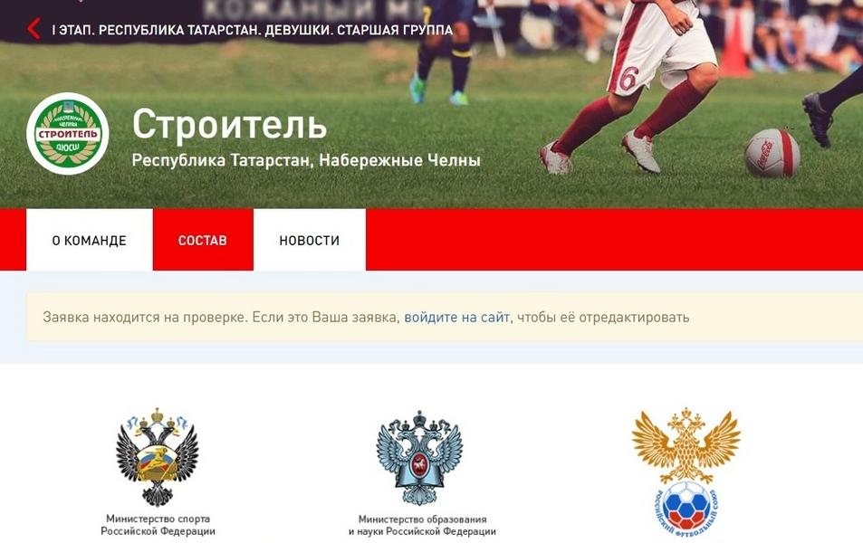 Татарстан рискует остаться без турнира «Кожаный мяч»