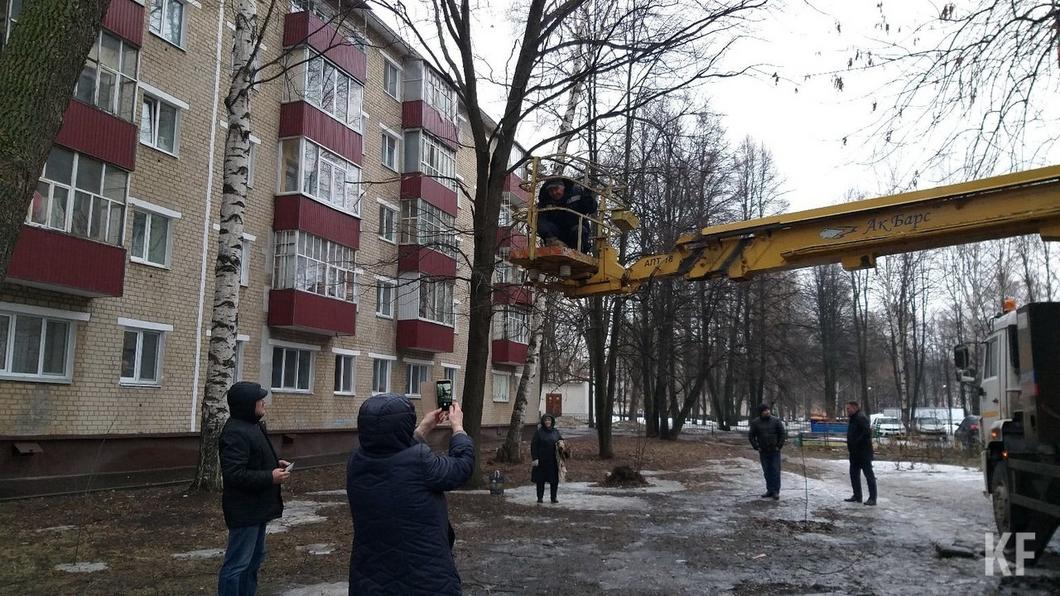 ​По приказу Метшина в Нижнекамске сняли кошку с дерева