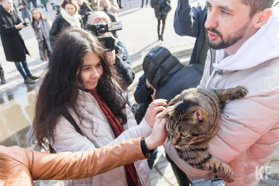 В Казань приехал знаменитый кот Виктор. Он стал символом борьбы за права животных