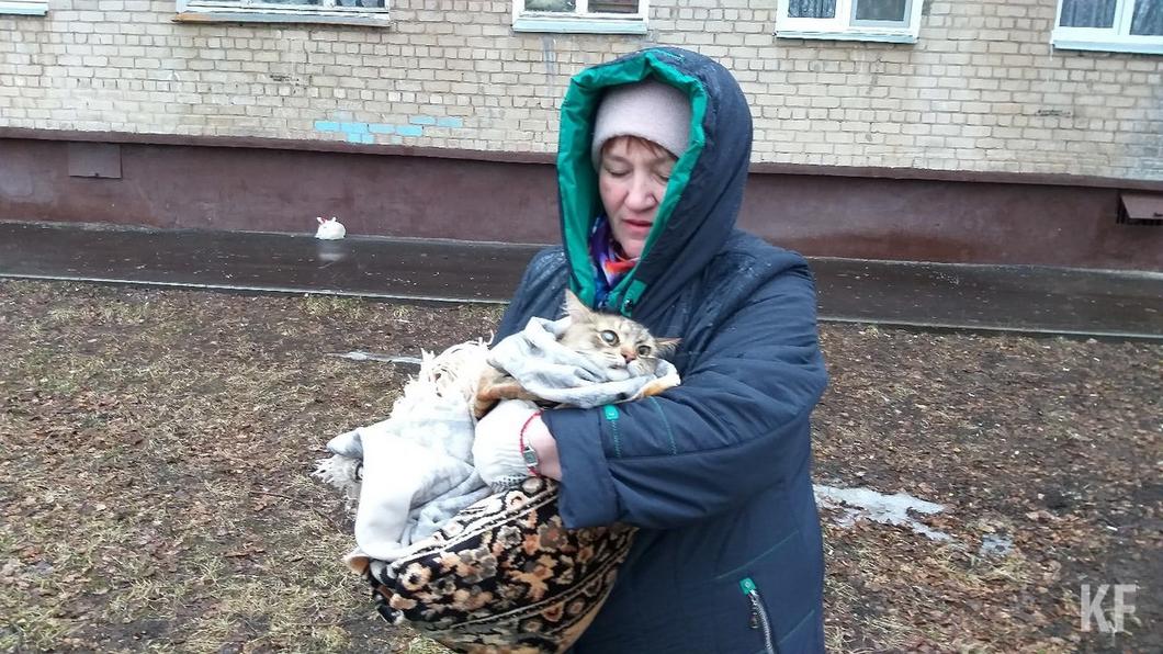 ​По приказу Метшина в Нижнекамске сняли кошку с дерева