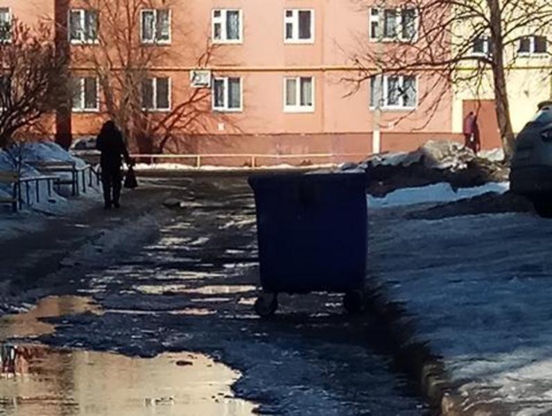 Жители Нижнекамска жалуются на птиц и безответственных хозяев собак