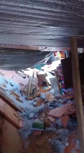 В приюте для бездомных животных под Нижнекамском рухнула крыша