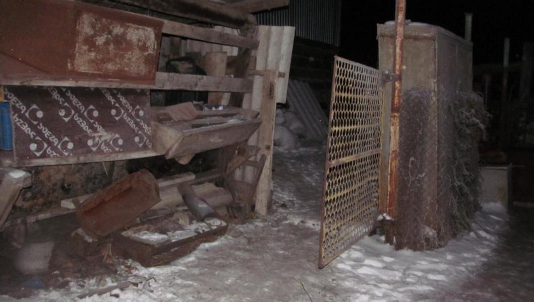 Родственники жительницы Татарстана, которую вместо лисы застрелил глава села, пошли на мировую из-за компенсации