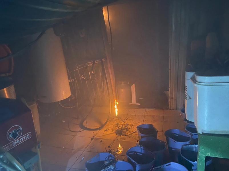 На пожаре в Татарстане спасли 15 телят