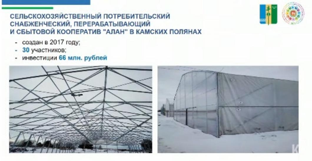 В Нижнекамском районе запустят забойный и мясоперерабатывающий цеха В Нижнекамском районе запустят забойный и мясоперерабатывающий цеха
