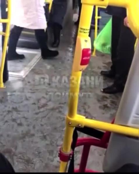 Перевозчики Казани ответили на скандал кондуктора с мужчиной, решившим проехать по проездному жены
