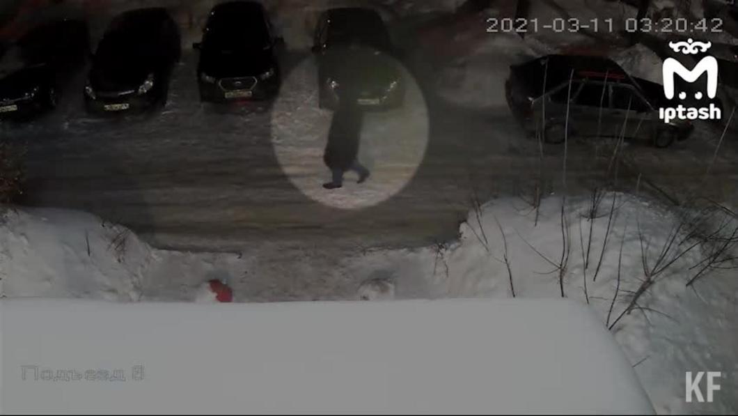 В Казани ночью подожгли иномарку: пироман попал на видео