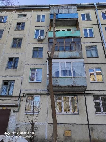 «Нас оставили без зелени»: в одном из дворов Казани обрезали кроны всех деревьев