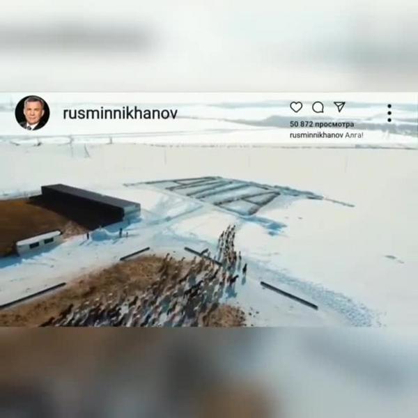 Прокуратура Татарстана проверяет действия властей после акции детей, стоящих на коленях Прокуратура Татарстана проверяет действия властей после акции детей, стоящих на коленях