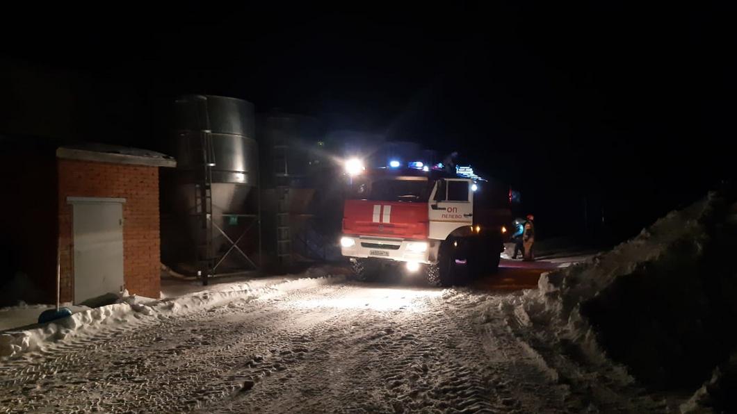 В Татарстане загорелась птицефабрика «Державинская»: прокуратура начала проверку