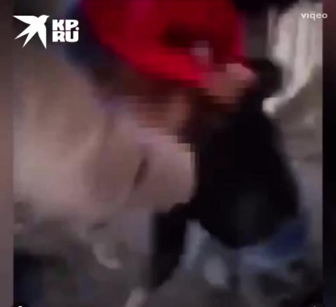 «А теперь на колени»: школьницы зверски избили сверстницу на заброшке «А теперь на колени»: школьницы зверски избили сверстницу на заброшке