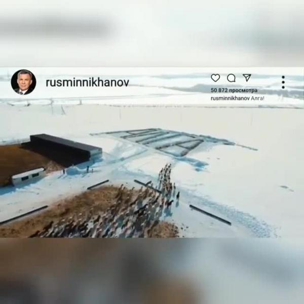 В Госдуме отреагировали на видео, где дети на коленях просят построить им школу в Казани