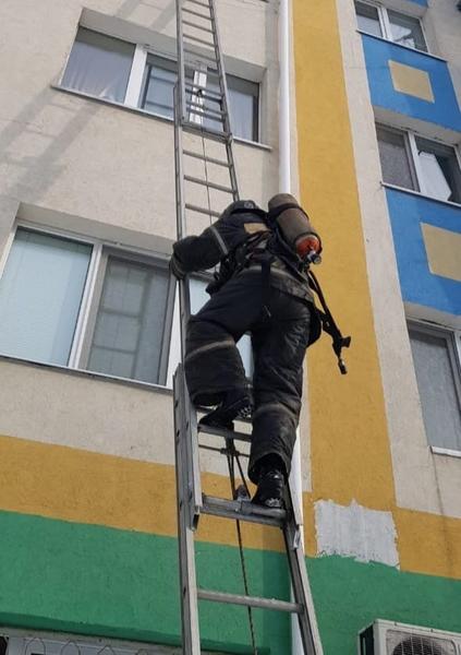 Пожарные в Альметьевске помогли вернуться в квартиру сидевшей на окне пенсионерке Пожарные в Альметьевске помогли вернуться в квартиру сидевшей на окне пенсионерке