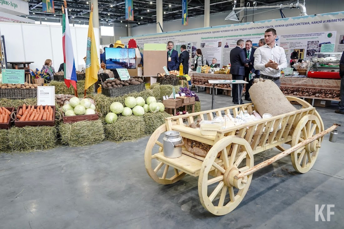 «Иного пути нет, кроме как заниматься импортозамещением»: Татарстан готовится к кризису на рынке сельхозпродукции
