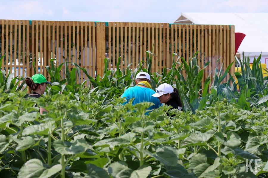 «Нам надо быть готовыми выйти на поля»: Татарстан подготовился к посевным работам «Нам надо быть готовыми выйти на поля»: Татарстан подготовился к посевным работам
