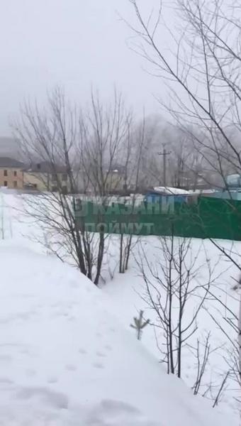 Бездомные собаки напали на школьницу около казанской гимназии №183