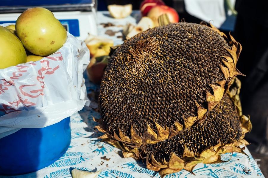 «Нам надо быть готовыми выйти на поля»: Татарстан подготовился к посевным работам «Нам надо быть готовыми выйти на поля»: Татарстан подготовился к посевным работам