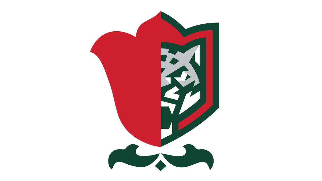 Тюльпан, барс, минимализм. Но всё это в следующем сезоне. «Ак Барс» представил новую эмблему