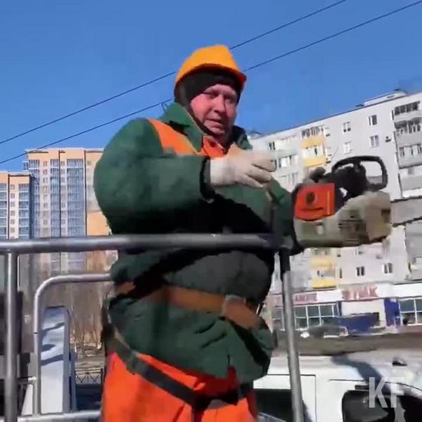 В Казани проводят омолаживающую и формовочную обрезку деревьев