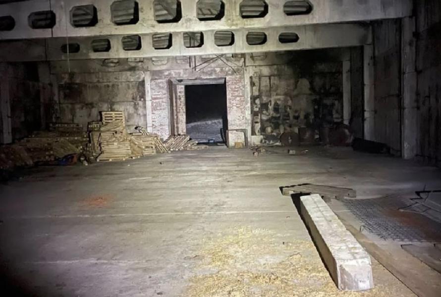 Мальчика насмерть придавило мешком с зерном на заброшенном складе в Ленобласти