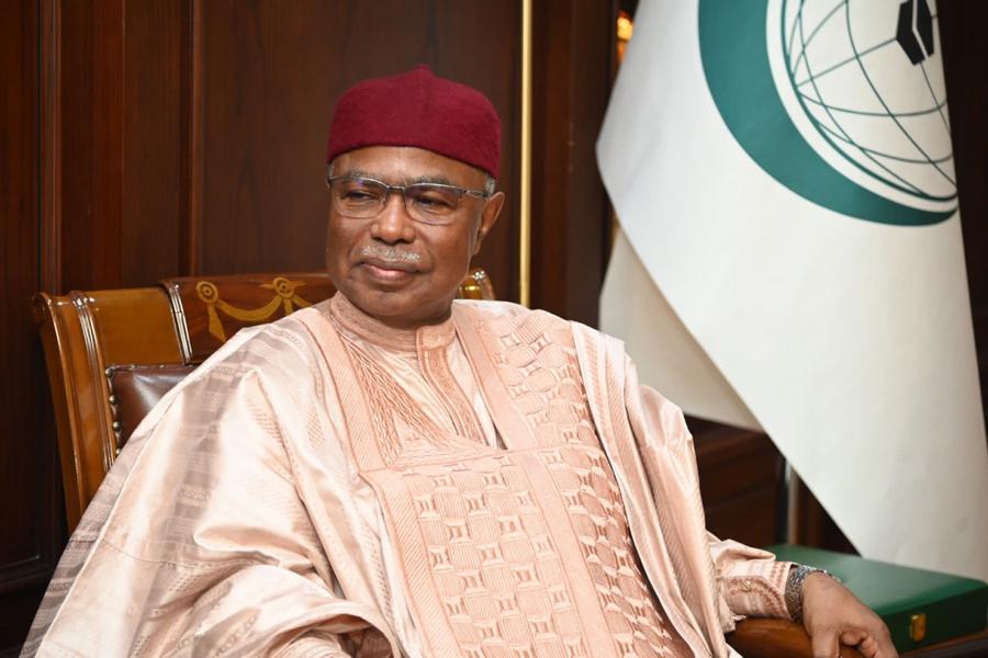 Минниханов встретился с генсеком Организации исламского сотрудничества