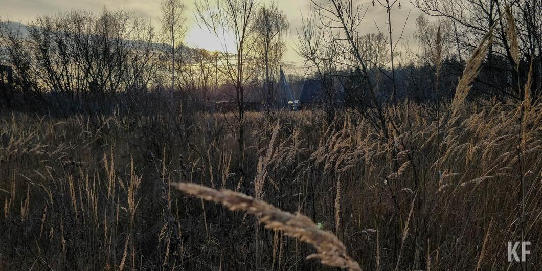 «Большинство лесных пожаров возникают по вине человека» «Большинство лесных пожаров возникают по вине человека»