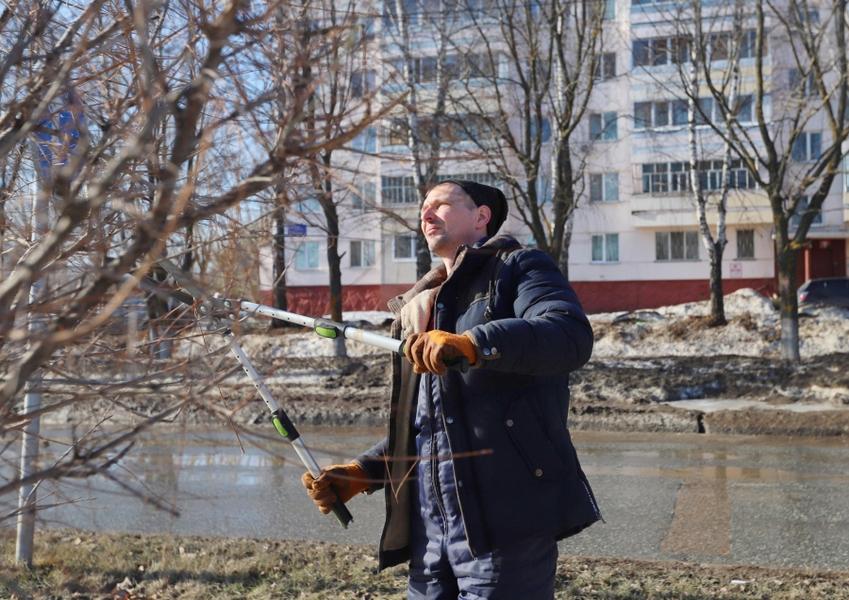 В Нижнекамске кронируют зеленые насаждения