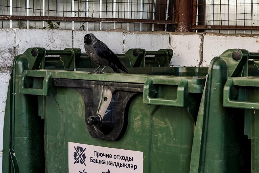 Какая госструктура нужна садоводам?