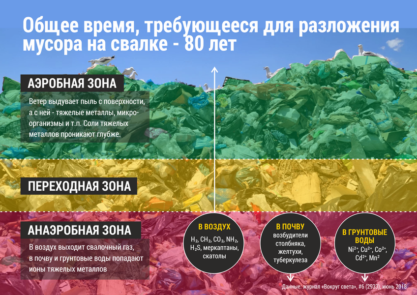 Инфографика: какие отходы скапливаются на свалках России