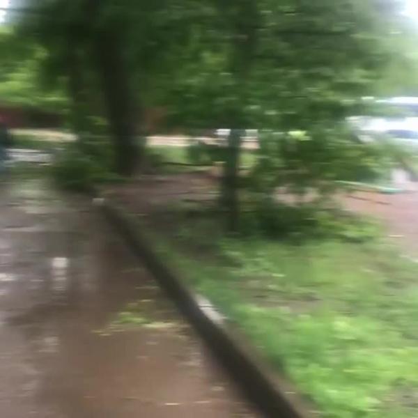 Ураган в Казани: поваленные деревья и вырванные крыши