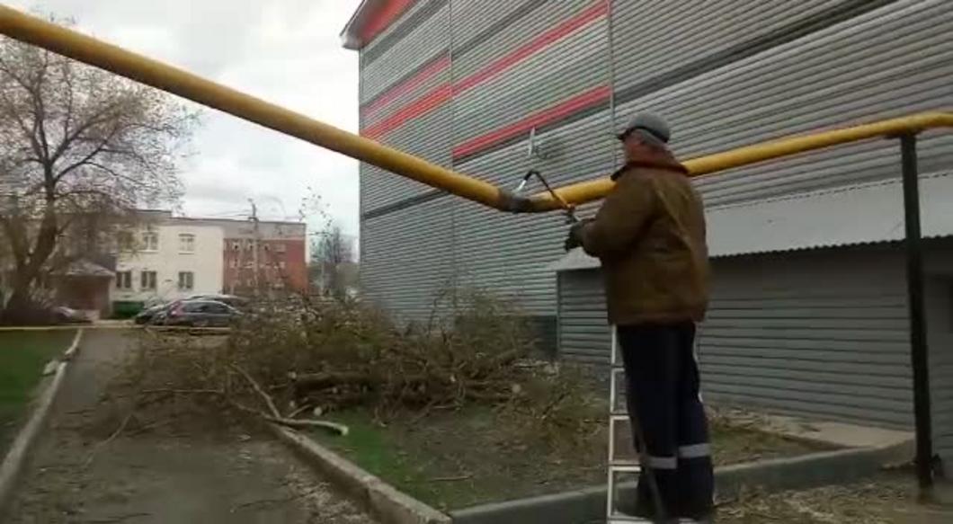 Из-за рухнувшего дерева 9 домов Лениногорска остались без газоснабжения