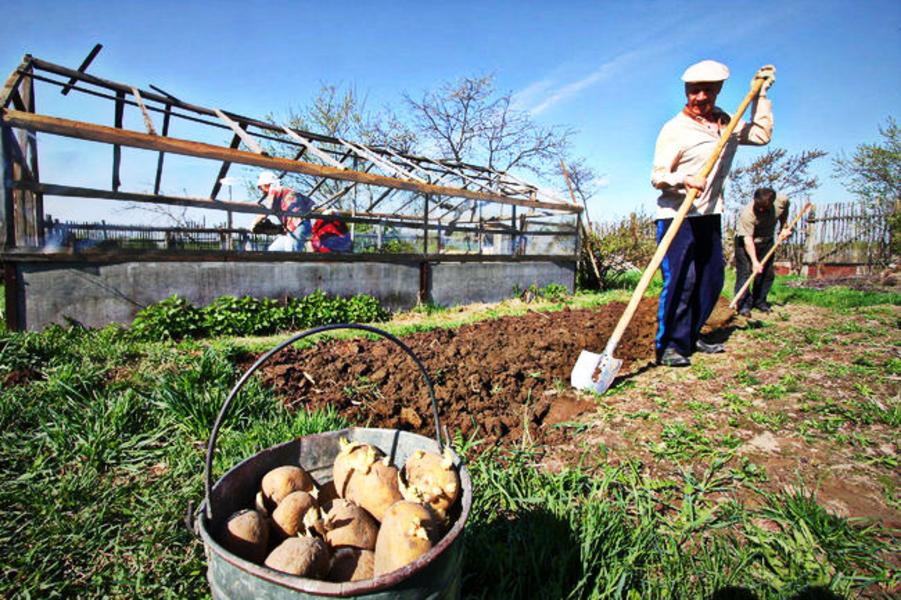 Как садоводы Нижнекамска помогают многодетным семьям и ветеранам