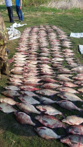 Татарстанские браконьеры выловили мешок рыбы