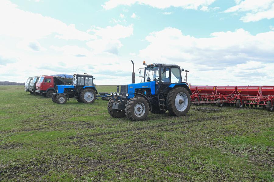 Судя по прогнозам метеорологов, садоводам Татарстана пора сажать апельсины