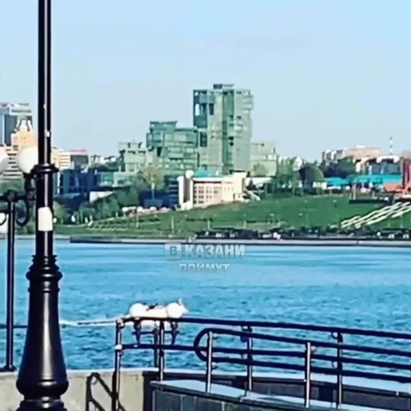 Казанцы засняли на видео самоизолированных на водных лыжах