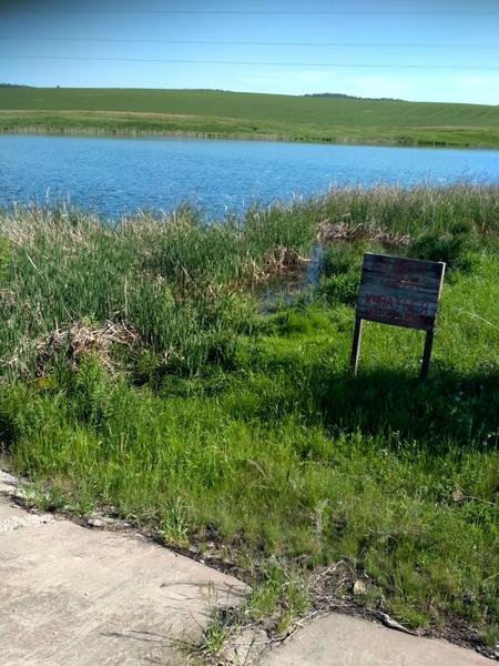 В пруду Лениногорского района утонул мужчина