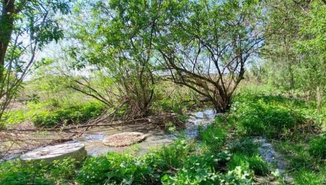 Поборники ООПТ «Шильна» требуют отобрать у бизнесмена законно арендованный участок