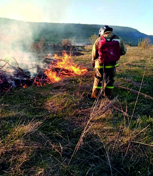 Судя по прогнозам метеорологов, садоводам Татарстана пора сажать апельсины