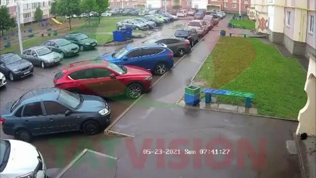 «Так же будет и с людьми»: в Нижнекамске на камеры попал момент, как собаки разодрали кошку «Так же будет и с людьми»: в Нижнекамске на камеры попал момент, как собаки разодрали кошку