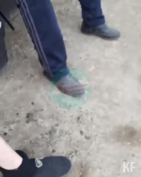 Под Челнами собака набросилась на ребенка-инвалида