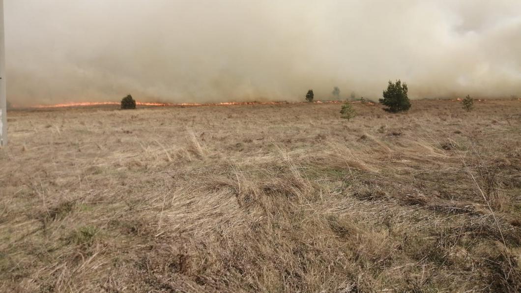 Пожарные потушили горящее под Нижнекамском поле на площади 850 кв.м.