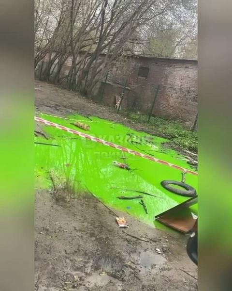 Казанский двор окружила лужа ядовито-зеленого цвета
