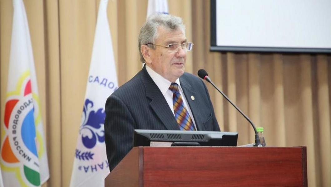 «Садоводы, собирайте деньги, будем тянуть жребий»